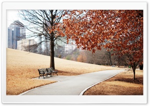 Autumn In The Park Ultra HD Wallpaper for 4K UHD Widescreen desktop, tablet & smartphone