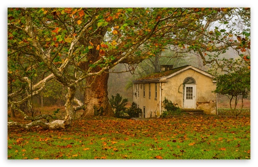 Autumn, Leaves, Big Tree, Old House Ultra HD Desktop Background Wallpaper  for 4K UHD TV : Widescreen & UltraWide Desktop & Laptop : Tablet :  Smartphone