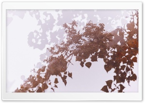 Autumn Leaves Reflected in Water Ultra HD Wallpaper for 4K UHD Widescreen desktop, tablet & smartphone
