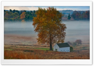 Autumn Mist, Yellow Tree, House, Landscape Ultra HD Wallpaper for 4K UHD Widescreen desktop, tablet & smartphone