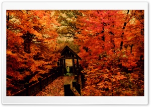 Autumn Morning Ultra HD Wallpaper for 4K UHD Widescreen desktop, tablet & smartphone