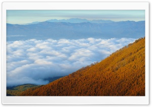 Autumn Mountain Forest Ultra HD Wallpaper for 4K UHD Widescreen desktop, tablet & smartphone