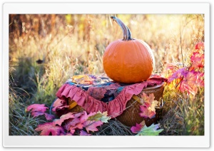 Autumn Pumpkin Ultra HD Wallpaper for 4K UHD Widescreen desktop, tablet & smartphone