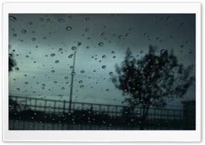 Autumn Raindrops Ultra HD Wallpaper for 4K UHD Widescreen desktop, tablet & smartphone