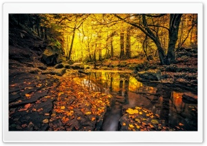 Autumn Scene Ultra HD Wallpaper for 4K UHD Widescreen desktop, tablet & smartphone