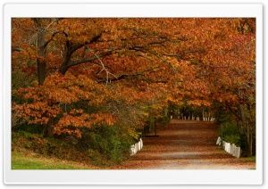 Autumn Scenes 19 Ultra HD Wallpaper for 4K UHD Widescreen desktop, tablet & smartphone