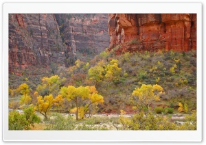 Autumn Season Ultra HD Wallpaper for 4K UHD Widescreen desktop, tablet & smartphone