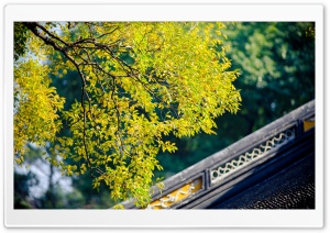 Autumn Signs Ultra HD Wallpaper for 4K UHD Widescreen desktop, tablet & smartphone