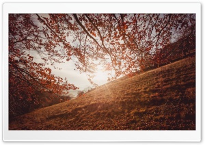 Autumn Sunset in Trascau Mountains, Romania Ultra HD Wallpaper for 4K UHD Widescreen desktop, tablet & smartphone