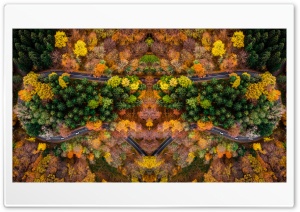 Autumn Symetric Drone Shot Ultra HD Wallpaper for 4K UHD Widescreen desktop, tablet & smartphone