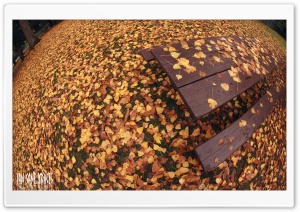 Autumn World Ultra HD Wallpaper for 4K UHD Widescreen desktop, tablet & smartphone