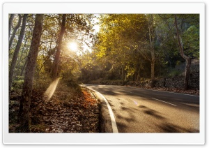 Autumnal Days Ultra HD Wallpaper for 4K UHD Widescreen desktop, tablet & smartphone