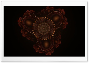 Autumn's Flower Ultra HD Wallpaper for 4K UHD Widescreen desktop, tablet & smartphone