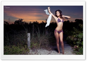 Ayoandrsn | Melissa N Purple Beach Ultra HD Wallpaper for 4K UHD Widescreen desktop, tablet & smartphone