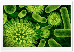 Bacterias 3D Ultra HD Wallpaper for 4K UHD Widescreen desktop, tablet & smartphone