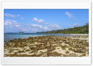 Beach Ultra HD Wallpaper for 4K UHD Widescreen desktop, tablet & smartphone