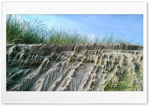 Beach Dunes With Grass Ultra HD Wallpaper for 4K UHD Widescreen desktop, tablet & smartphone