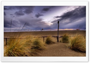 Beach Grass, Cloudy Sky Ultra HD Wallpaper for 4K UHD Widescreen desktop, tablet & smartphone