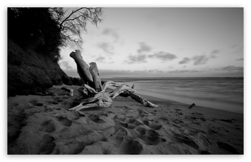 Beach Wallpaper Widescreen Black And White