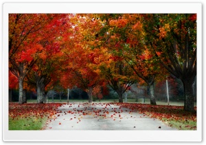 Beautiful Autumn Ultra HD Wallpaper for 4K UHD Widescreen desktop, tablet & smartphone