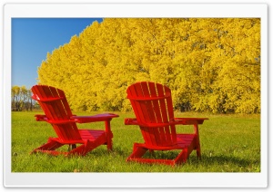 Beautiful Autumn Trees Ultra HD Wallpaper for 4K UHD Widescreen desktop, tablet & smartphone