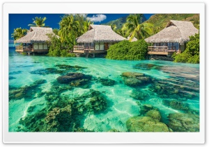 Beautiful Coast Ultra HD Wallpaper for 4K UHD Widescreen desktop, tablet & smartphone
