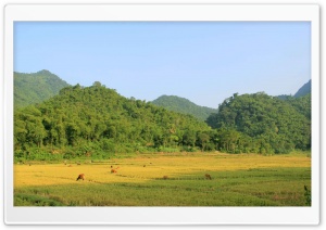 Beautiful countryside Ultra HD Wallpaper for 4K UHD Widescreen desktop, tablet & smartphone