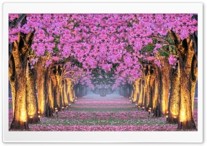 Beautiful Dreamlike Spring Ultra HD Wallpaper for 4K UHD Widescreen desktop, tablet & smartphone
