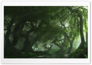 Beautiful Forest Lake Ultra HD Wallpaper for 4K UHD Widescreen desktop, tablet & smartphone
