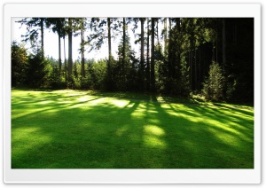 Beautiful green field sun Ultra HD Wallpaper for 4K UHD Widescreen desktop, tablet & smartphone