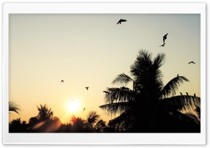 Beautiful  Landscape Ultra HD Wallpaper for 4K UHD Widescreen desktop, tablet & smartphone