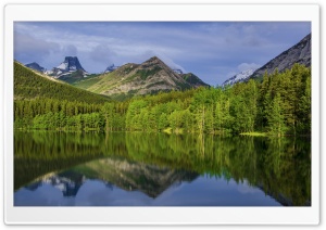 Beautiful Mountain Forest Ultra HD Wallpaper for 4K UHD Widescreen desktop, tablet & smartphone