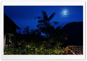 Beautiful Night Ultra HD Wallpaper for 4K UHD Widescreen desktop, tablet & smartphone
