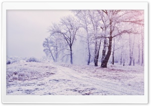 Beautiful Snowy Forest Scenery Ultra HD Wallpaper for 4K UHD Widescreen desktop, tablet & smartphone
