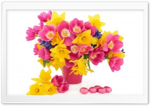 Beautiful Spring Flowers Easter 2022 Ultra HD Wallpaper for 4K UHD Widescreen desktop, tablet & smartphone