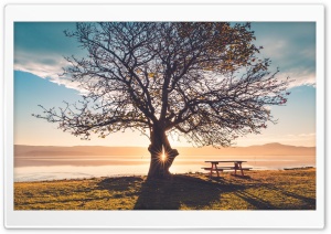 Beautiful Sunny Autumn Day Ultra HD Wallpaper for 4K UHD Widescreen desktop, tablet & smartphone
