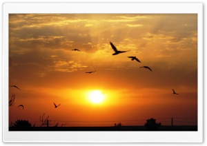 Beautiful Sunset Ultra HD Wallpaper for 4K UHD Widescreen desktop, tablet & smartphone