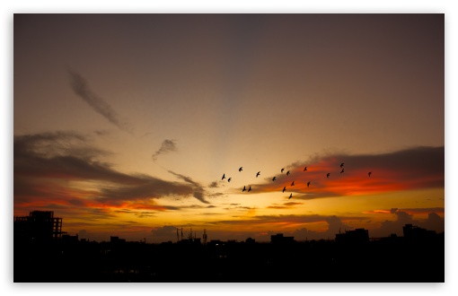 Beautiful Sunset, Bangladesh Ultra HD Desktop Background Wallpaper for 4K  UHD TV : Widescreen & UltraWide Desktop & Laptop : Tablet : Smartphone