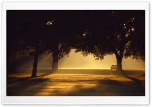 Beautiful Sunset Light Ultra HD Wallpaper for 4K UHD Widescreen desktop, tablet & smartphone