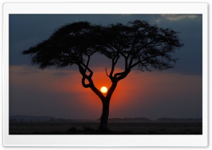 Beautiful Sunset Scenery Ultra HD Wallpaper for 4K UHD Widescreen desktop, tablet & smartphone