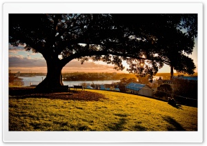 Beautiful Sydney Ultra HD Wallpaper for 4K UHD Widescreen desktop, tablet & smartphone