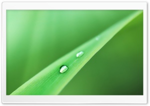 Beautiful Water Drop Bokeh Ultra HD Wallpaper for 4K UHD Widescreen desktop, tablet & smartphone