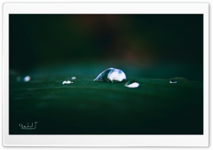 Beautiful Water Drops Ultra HD Wallpaper for 4K UHD Widescreen desktop, tablet & smartphone