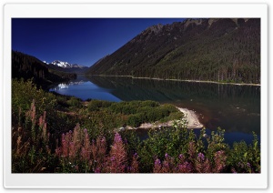 Beautiful Wilderness Ultra HD Wallpaper for 4K UHD Widescreen desktop, tablet & smartphone