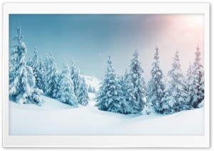 Beautiful Winter Ultra HD Wallpaper for 4K UHD Widescreen desktop, tablet & smartphone