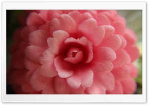 Beauty of the Nature Ultra HD Wallpaper for 4K UHD Widescreen desktop, tablet & smartphone