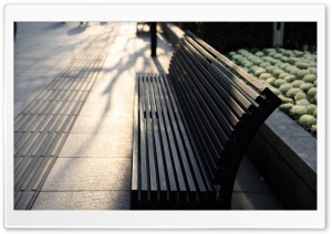 Bench Ultra HD Wallpaper for 4K UHD Widescreen desktop, tablet & smartphone