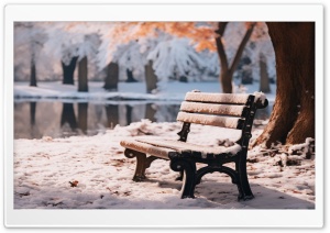 Bench Winter Ultra HD Wallpaper for 4K UHD Widescreen desktop, tablet & smartphone