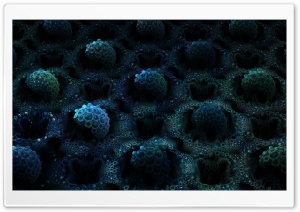 Beneath the Ocean's Surface Ultra HD Wallpaper for 4K UHD Widescreen desktop, tablet & smartphone