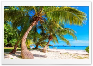 Best Summer Vacations Ultra HD Wallpaper for 4K UHD Widescreen desktop, tablet & smartphone